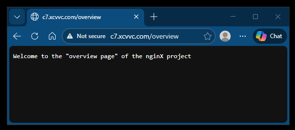 node.js overview page successful