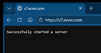 Successful link to a node.js static page